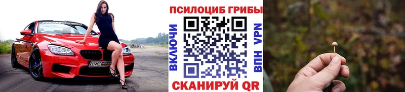 Псилоцибиновые грибы мухоморы  закладки  Верхнеуральск 